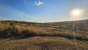RPPN Parque do Capetinga