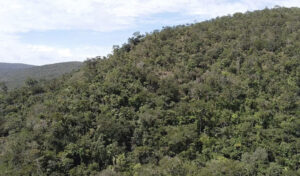 RPPN Flor do Cerrado II