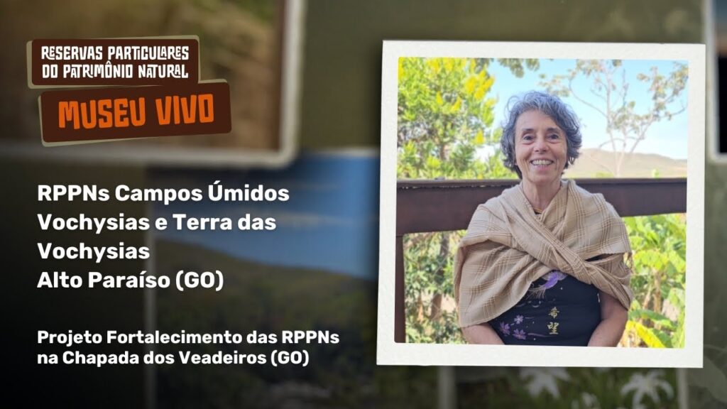 RPPN Campos Úmidos Vochysias e Terra das Vochysias