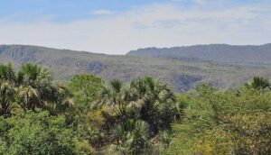 RPPN Varanda da Serra