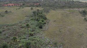 RPPN Vita Parque